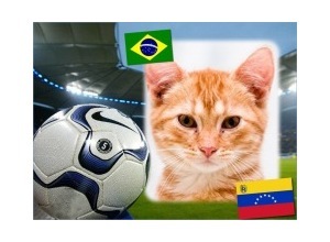 Moldura - Brasil Vs Venezuela   Copa America