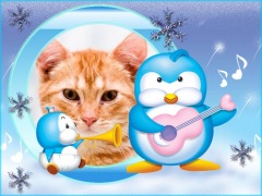 Moldura - Passarinhos