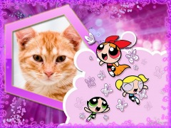 Moldura - As Meninas Super Poderosas