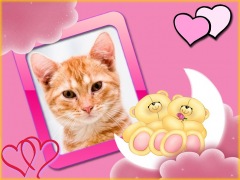 Moldura - Ursinhos Apaixonados