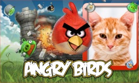 Moldura - Passaros Angry Birds