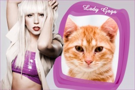 Moldura - Lady Gaga Lilas