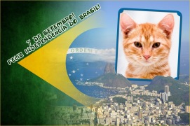 Moldura - 7 Setembro Independencia Do Brasil