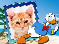Moldura - O Pato Donald