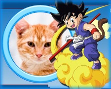 Moldura - Goku