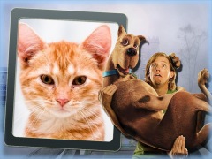 Moldura - Scooby Doo O Filme