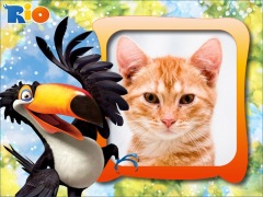 Moldura - Tucano Filme Rio