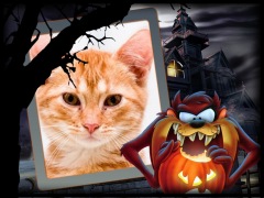 Moldura - Halloween Do Taz