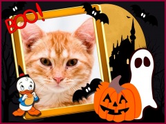 Moldura - Halloween   Patinho