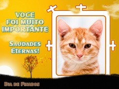 Moldura - Feriado De Finados