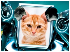 Moldura - Tron Movie