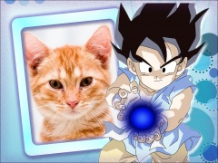 Moldura - Dragon Ball