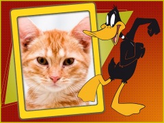 Moldura - O Patolino