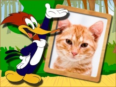 Moldura - O Pica Pau