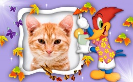 Moldura - Pica Pau E Folhas