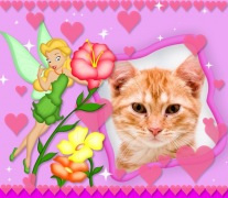 Moldura - Fadinha Com Flor