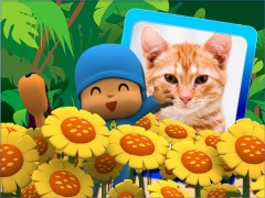 Moldura - Pocoyo E Flores