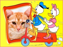 Moldura - Donald E Margarida Na Lambreta