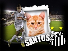 Moldura - Santos Neymar