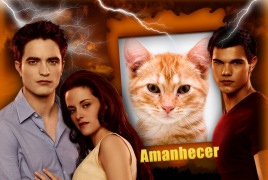 Moldura - Amanhecer   Crepusculo