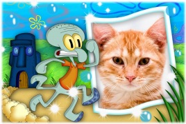 Moldura - Lula Molusco