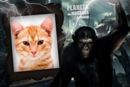 Moldura - Planeta Dos Macacos A Origem