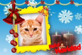 Moldura - Feliz Navidad