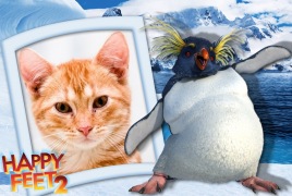 Moldura - Happy Feet 2