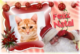 Moldura - Feliz Natal 2012