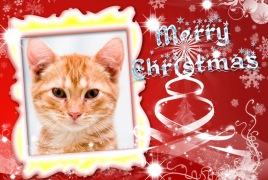 Moldura - Merry Christmas