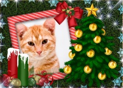 Moldura - Enfeites De Natal