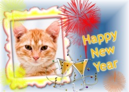 Moldura - Happy New Year 2012