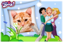 Moldura - Tres Espias Demais