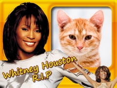 Moldura - Whitney Houston