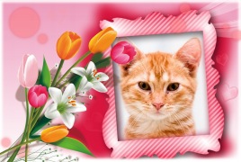 Moldura - Lindo Bouquet De Flores