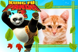 Moldura - Urso Kung Fu Panda 2