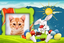 Moldura - O Melhor Da Pascoa