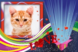 Moldura - Caixa De Amor