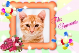 Moldura - Feliz Aniversario Baloes E Flores