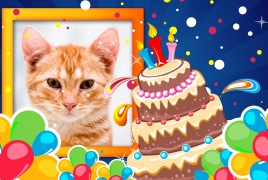 Moldura - Festa De Aniversario