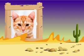 Moldura - Deserto Com Cacto