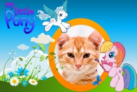 Moldura - My Little Pony