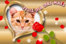 Moldura - Dia Das Maes Coracao