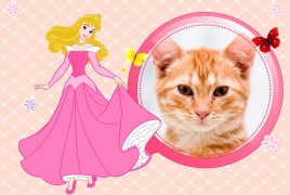 Moldura - Linda Princesa