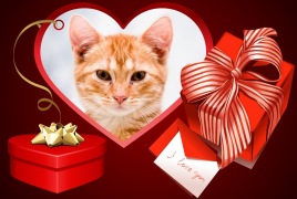 Moldura - Caixas De Presentes E Coracao