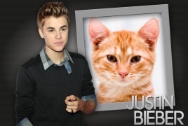 Moldura - Justin Bieber 2012