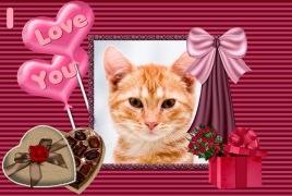 Moldura - I Love You Namorados