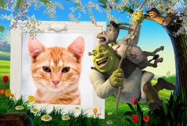 Moldura - Shrek Burro E Gato