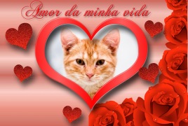 Moldura - Amor Da Minha Vida