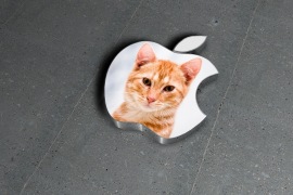 Moldura - Apple Logo